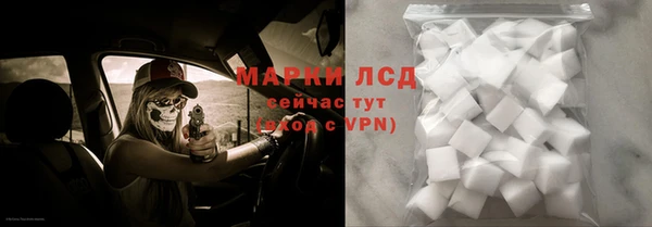 сатива Алзамай