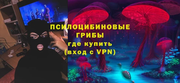 сатива Алзамай
