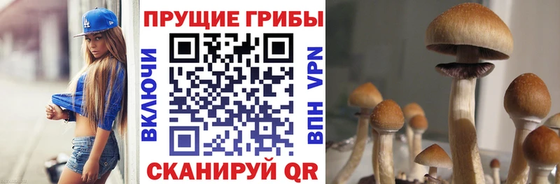 где можно купить   Дюртюли  mega ссылки  мориарти состав  Галлюциногенные грибы Magic Shrooms 