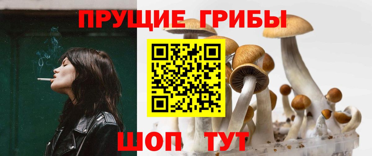 Псилоцибиновые грибы MAGIC MUSHROOMS Дюртюли